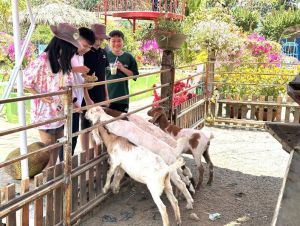 Khám phá Nông trại trái cây ở huyện dẫn đầu nông thôn mới cả nước