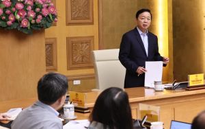 Chính phủ họp trực tuyến về việc thành lập Hội đồng Y khoa quốc gia