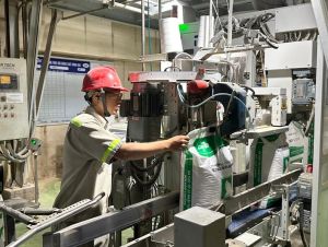 同奈奖励19个突出FDI企业