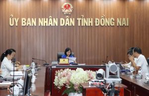 Triển khai kế hoạch thực hiện Quy hoạch điện VIII