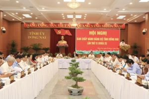 Hội nghị Ban Chấp hành Đảng bộ tỉnh đánh giá rõ những kết quả đạt được và chưa được