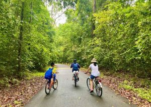 同奈完善交通，继续让旅游发展