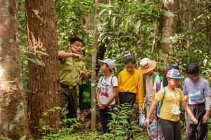 同奈 “快速”建设新旅游产品