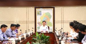 同奈省有230个企业以上参加韩国、日本促进投资会议