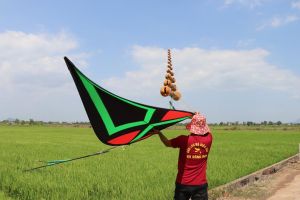 Sân chơi của người mê diều sáo