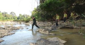 Ngăn tình trạng xâm hại tài nguyên rừng