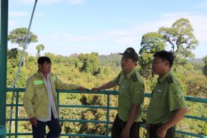 Tăng cường tuyên truyền phòng, chống cháy rừng mùa khô