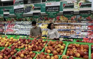 Gỡ những "nút thắt" trong Luật Thuế giá trị gia tăng