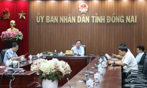 Sắp xếp lại các công ty nông lâm nghiệp