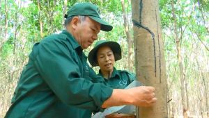 Nữ công nhân cao su sáng tạo