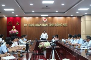 Thông tin, dự báo thị trường lao động để các trường có định hướng trong đào tạo nghề