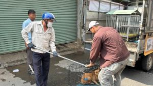 Tiếp tục ghi nhận ổ dịch chó dại mới tại huyện Vĩnh Cửu