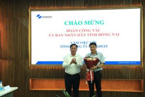 克服困难、团结发展Sonadez商标