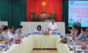 HĐND tỉnh giám sát chuyên đề về phát triển thương mại, dịch vụ tổng hợp hiện đại tại Trảng Bom