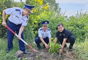 Làm dân vận và trồng cây xanh mừng sinh nhật Bác