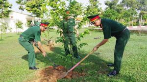 Trồng hơn 1 ngàn cây xanh mừng sinh nhật Bác