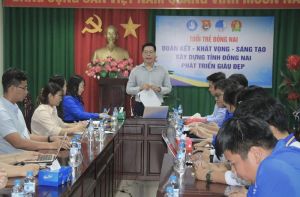 Triển khai chương trình Tiếp sức mùa thi và chiến dịch tình nguyện Mùa hè xanh