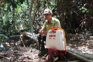 Nỗ lực canh giữ rừng mùa nắng nóng, khô hạn