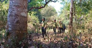 Vất vả thầm lặng của kiểm lâm giữ rừng tại gốc