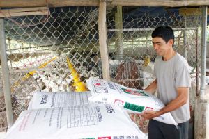 Thêm đợt giảm giá mới thức ăn chăn nuôi