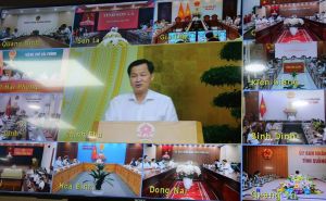 在布置农林业各公司