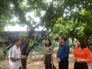 Xuân Lộc đi đầu xây dựng nông thôn mới nâng cao