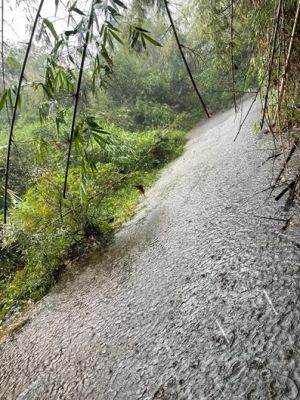 Khắc phục ô nhiễm nguồn nước dòng suối Mã Đà