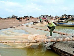 Không cho phép khai thác thủy sản kiểu tận diệt trên hồ Trị An