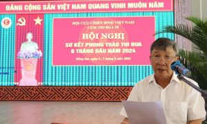 Cụm Thi đua số 10 sơ kết thi đua “Cựu chiến binh gương mẫu”