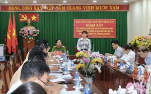 Giám sát về bảo đảm trật tự an toàn giao thông tại thành phố Biên Hòa