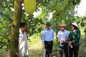 Nêu cao trách nhiệm của người đứng đầu trong học và làm theo Bác