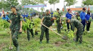 Trồng hơn 1,5 ngàn cây xanh