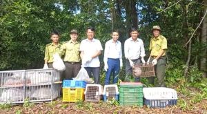 Thả trên 142 cá thể động vật hoang dã về với tự nhiên