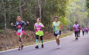 回同奈探索森林下体育旅游