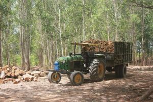 持続可能な林業開発のためのソリューション