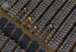 Đồng Nai tham gia Liên hoan Ảnh nghệ thuật khu vực Đông Nam Bộ 2024