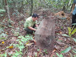 Vận động người dân không nuôi nhốt, buôn bán động vật hoang dã