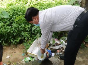 Khu vực phía Nam cần đẩy mạnh công tác phòng, chống dịch bệnh