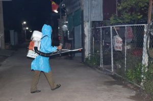 Tăng cường các biện pháp phòng ngừa dịch bệnh dại