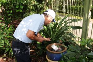 Phòng ngừa sốt xuất huyết bằng những việc làm đơn giản