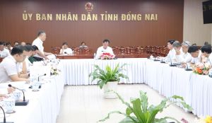 Thông qua chủ trương đầu tư và điều chỉnh chủ trương đầu tư 9 dự án