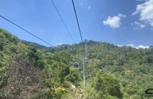 Cần có sự cân nhắc, tính toán việc thu phí tham quan để tái tạo, đầu tư cho di sản