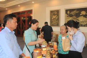 Tập huấn cho tất cả tác giả có ý tưởng/ dự án tham gia cuộc thi Phụ nữ khởi nghiệp đổi mới sáng tạo