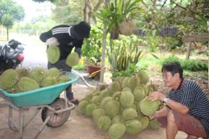 Tránh rủi ro khi giao dịch bằng lời nói