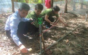 Leveraging Advantages to Develop Forest Economy