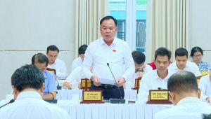 Tập trung triển khai các giải pháp khả thi để thực hiện hiệu quả hơn nữa cho phát triển kinh tế - xã hội của tỉnh