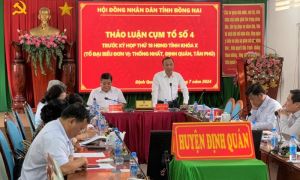 Đại biểu HĐND đề nghị tăng cường giải pháp ngăn ngừa tội phạm trên không gian mạng