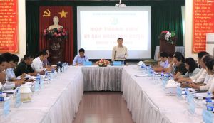 Nhơn Trạch họp thành viên UBND huyện đánh giá kết quả thực hiện các chỉ tiêu trong 6 tháng đầu năm 2024