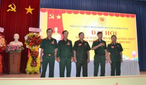 Đại hội thi đua “Cựu chiến binh gương mẫu” khối doanh nghiệp tỉnh