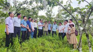 Chăm lo đoàn viên, hội viên, quần chúng nhân dân bằng những việc làm thiết thực